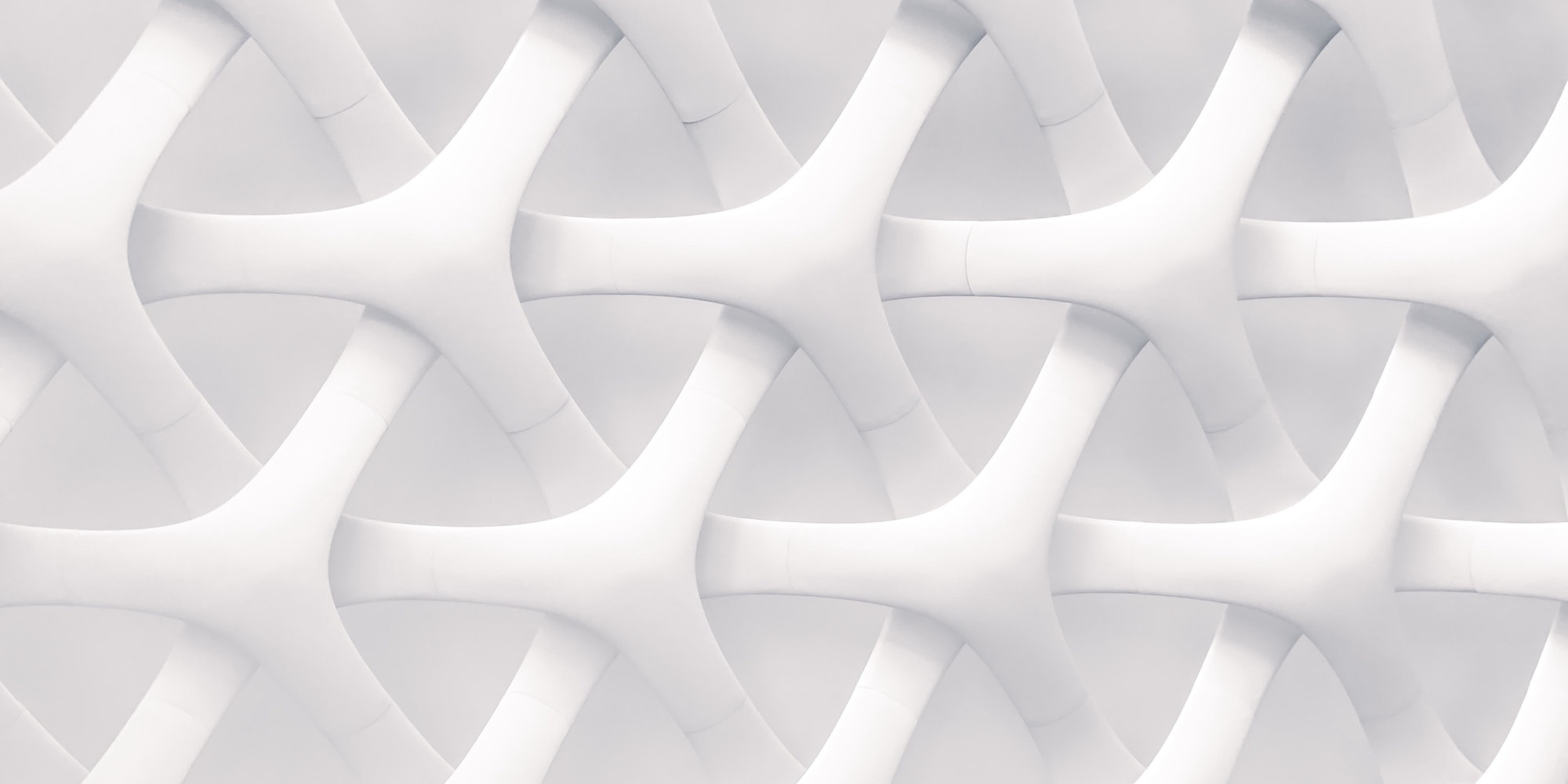 Workshop / Life Coach