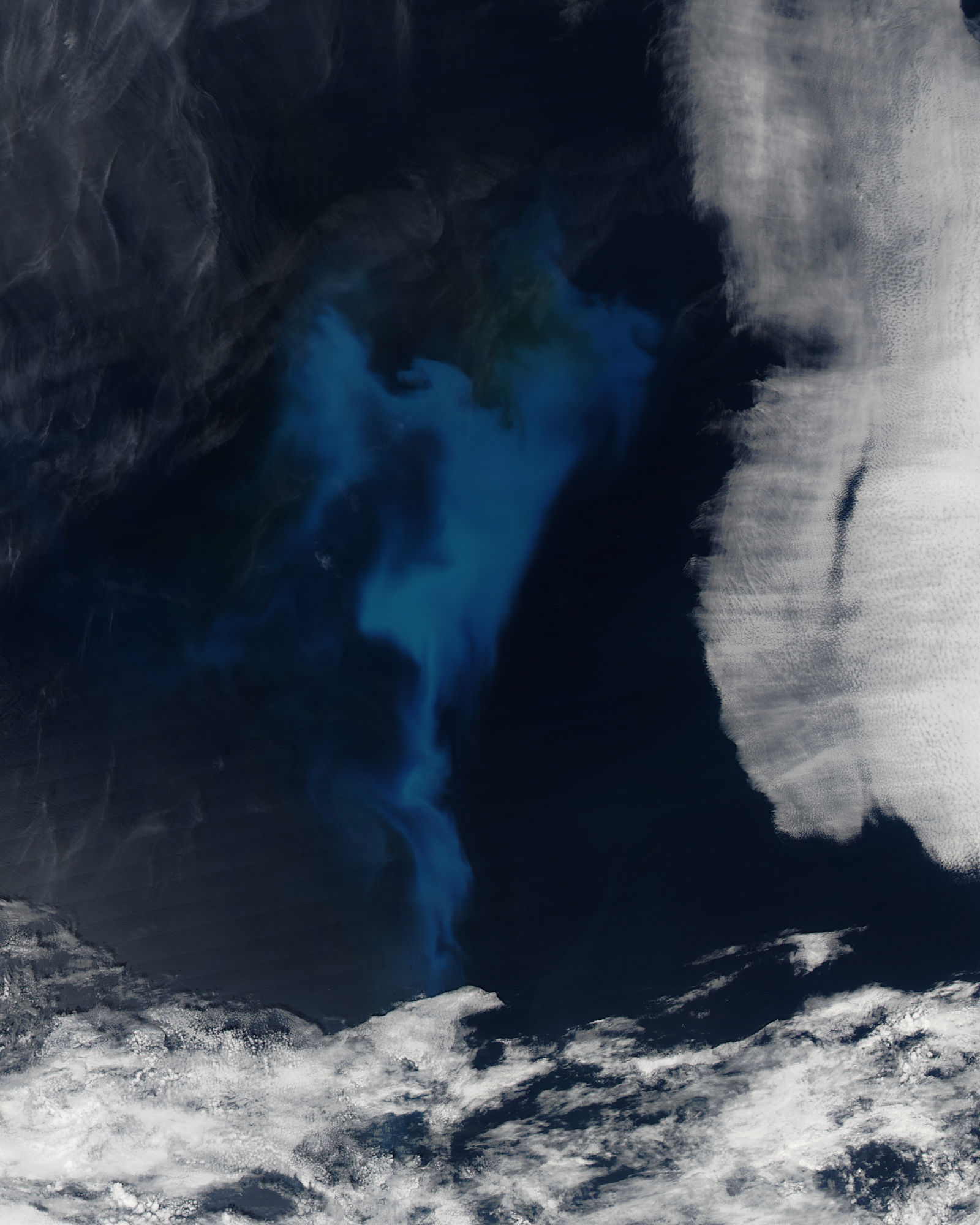 Satellite view of a phytoplankton bloom