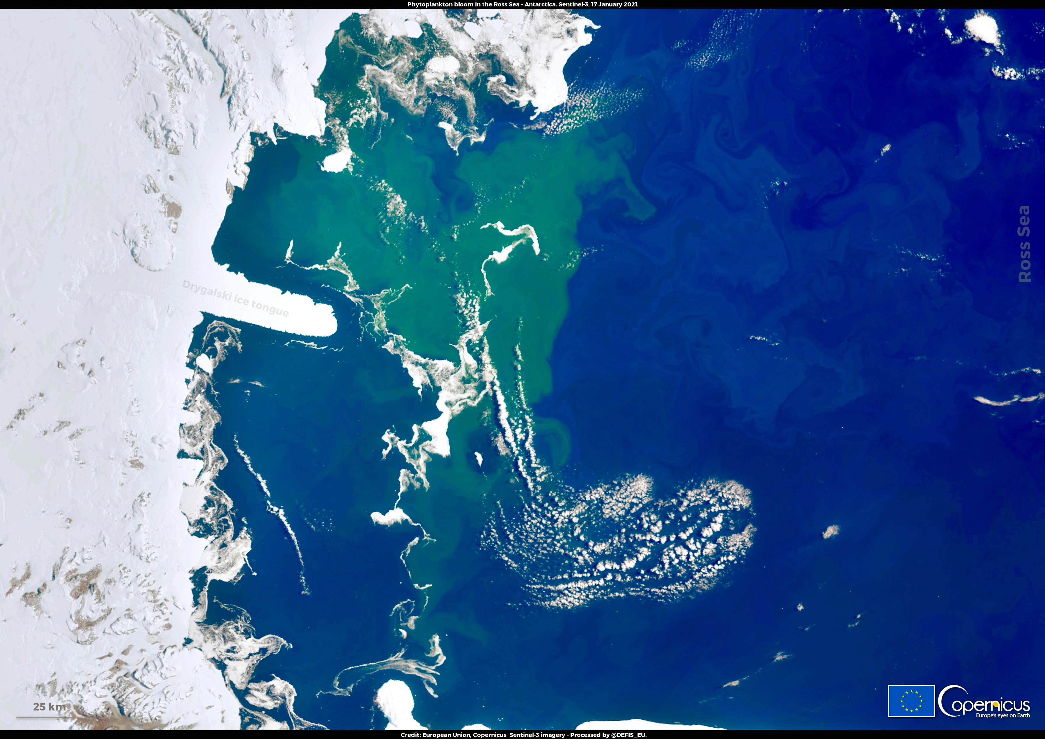 Phytoplankton bloom story moment